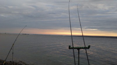 DSC_0778.jpg