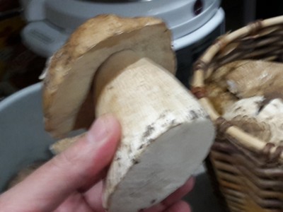 20160925_192826.jpg