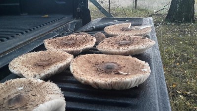 20160924_173035.jpg