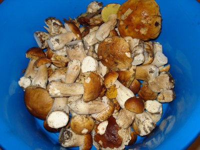 DSC00051.JPG