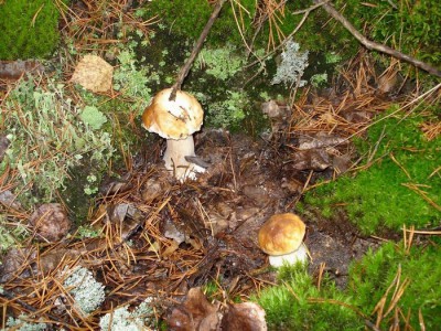 DSC00047.JPG
