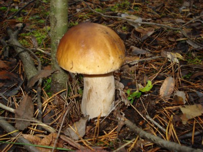 DSC00039.JPG