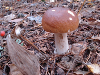 DSC00063.jpg
