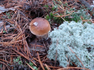 DSC00059.jpg