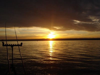 DSC00072.jpg