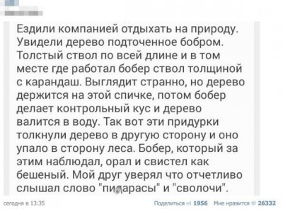 smeshnye-kommentarii-iz-socialnyh-setej--32.jpg