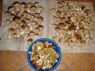 DSC00120.JPG