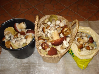 DSC00118.JPG