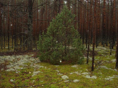 DSC00101.JPG