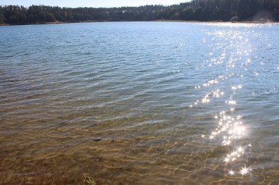 IMG_2875.JPG