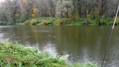 SAM_3833_1.jpg