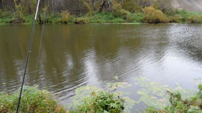 SAM_3835_1.jpg