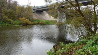 SAM_3834_1.jpg