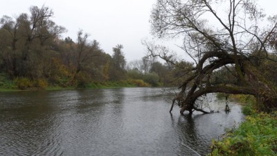 SAM_3838_1.jpg