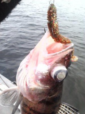 IMG1488.jpg