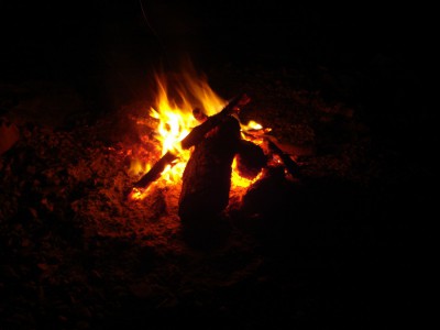 DSC00020.JPG