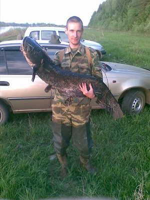 24052010210инт.JPG