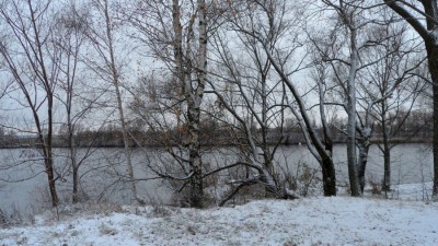 SAM_3880_1.jpg