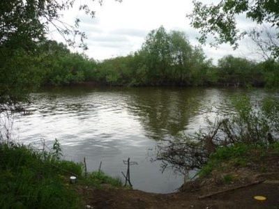 P1000910.JPG