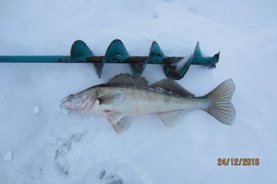 IMG_5962.JPG