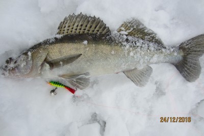 IMG_5966.JPG