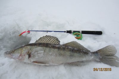 IMG_5974.JPG
