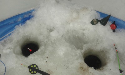 841775.jpg