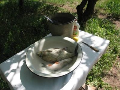 IMG_0008.JPG