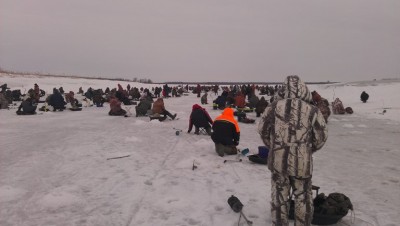 IMAG0096.jpg