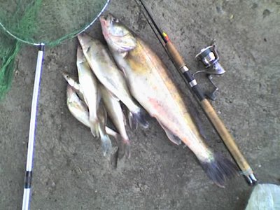 11-06-10_0901.jpg