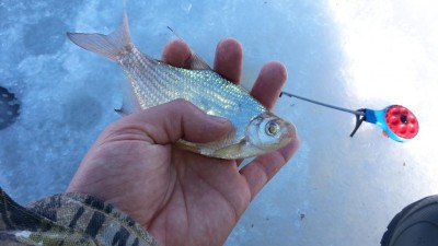 20170305_122836.jpg