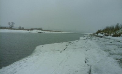 rps20170317_190601_914.jpg