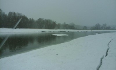 rps20170317_190427_954.jpg
