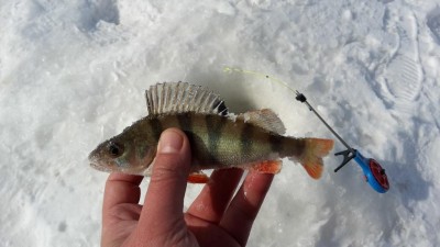 20170319_120410.jpg