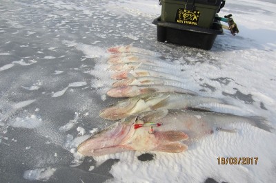 IMG_6070.JPG
