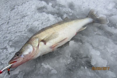 IMG_6081.JPG