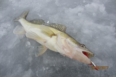 IMG_6083.JPG