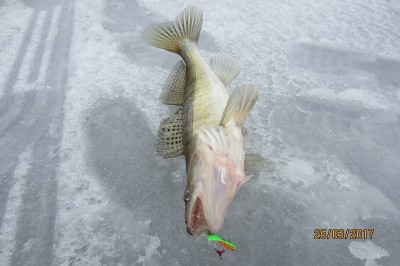IMG_6084.JPG