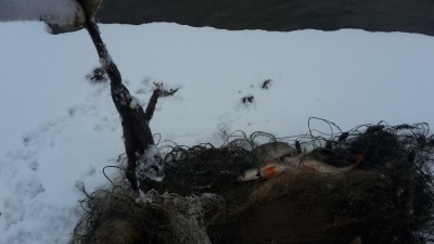 20170326_081116.jpg