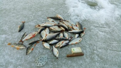 IMG_20170328_173149.jpg