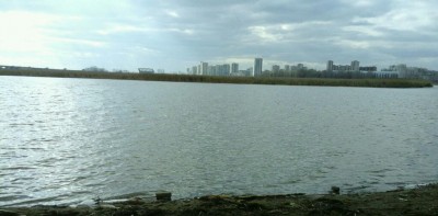 rps20170418_202646.jpg