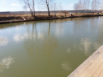 20170326_113211_1.jpg