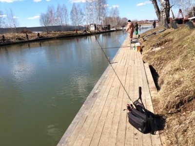 20170326_113138_1.jpg