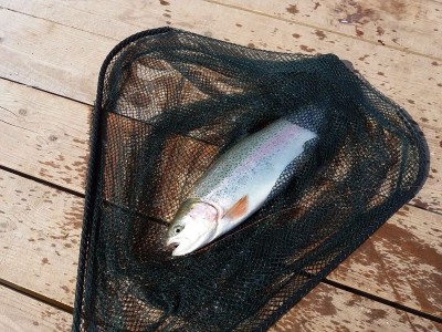 20170416_105305_1.jpg