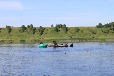 IMG_2625.JPG