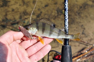 IMG_5933.JPG