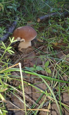 IMG-20170729-WA0005.jpg