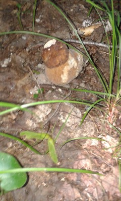 IMG-20170729-WA0009.jpg