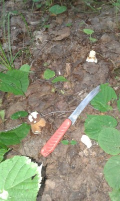 IMG-20170729-WA0011.jpg