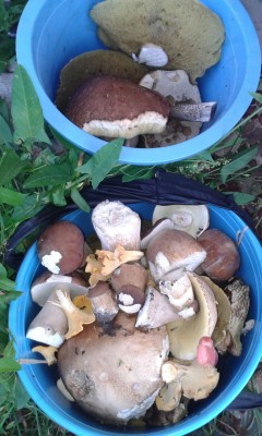 IMG-20170729-WA0013.jpg